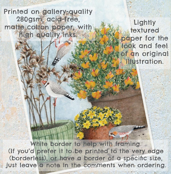 ZEBRA FINCHES GARDEN VISIT - Art Print