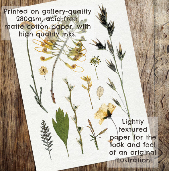 'EDGE OF THE WOODS' BOTANICAL COLLATION - Art Print