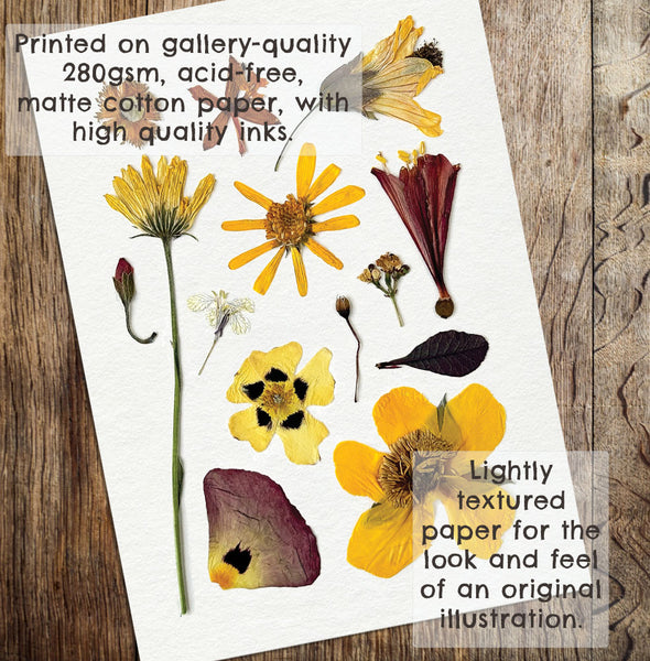 'SUNNY DAYS' BOTANICAL COLLATION - Art Print
