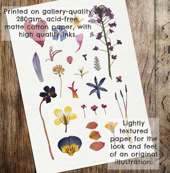 'SPRINGTIME' - Art Print