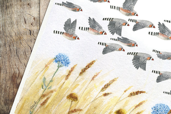 A FLOCK OF ZEBRA FINCHES - Art Print