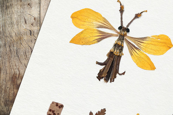 'CLIFFORD' - Art Print