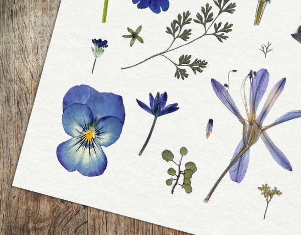 'DRIFT AWAY' - Art Print