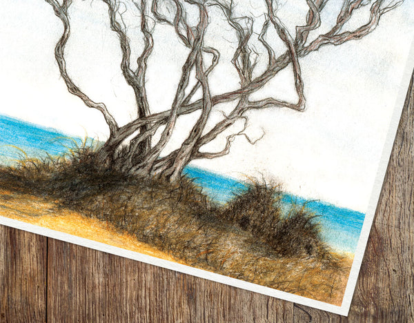 LITTLE HUMMOCK HOMES - Art Print