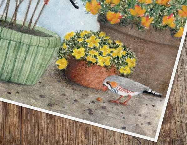 ZEBRA FINCHES GARDEN VISIT - Art Print