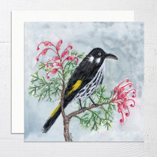 NEW HOLLAND HONEYEATER IN GREVILLEA - Square Greetings Card