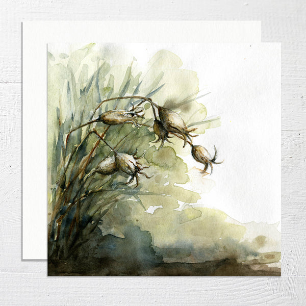 AUTUMN SEEDPODS - Square Greetings Card
