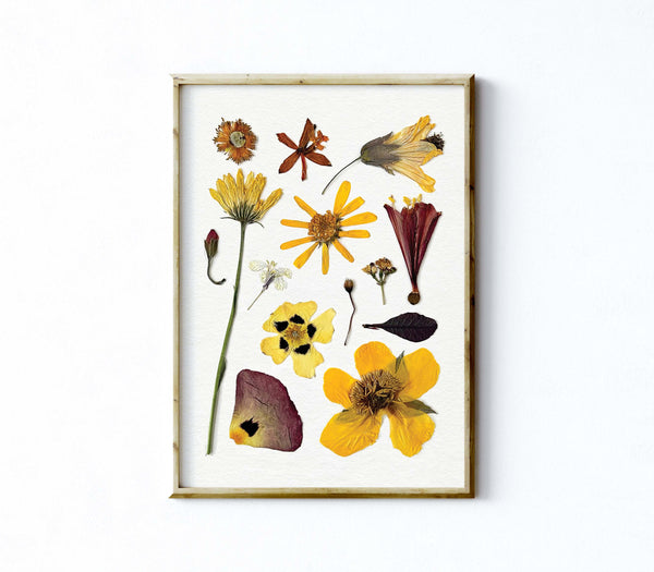 'SUNNY DAYS' BOTANICAL COLLATION - Art Print