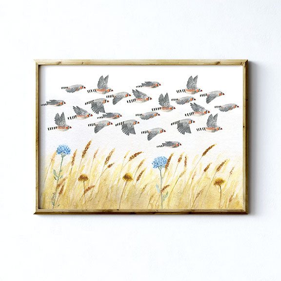 A FLOCK OF ZEBRA FINCHES - Art Print