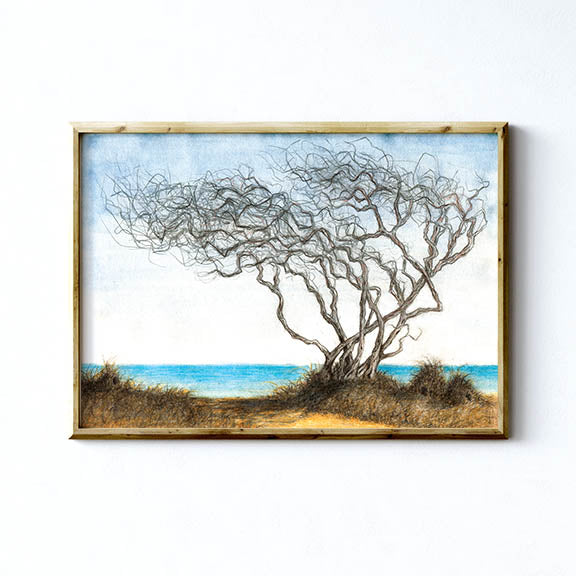 LITTLE HUMMOCK HOMES - Art Print