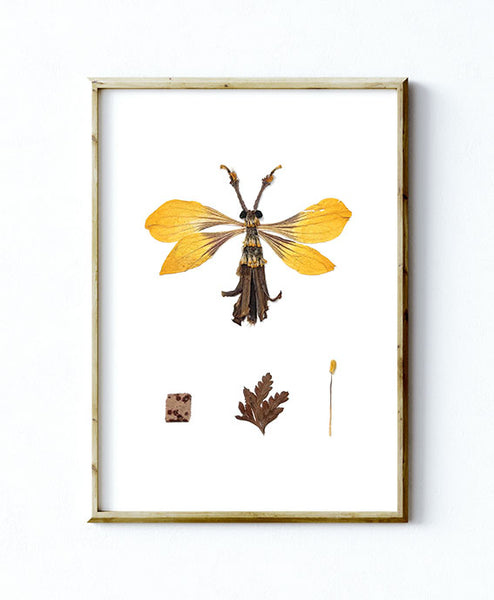 'CLIFFORD' - Art Print