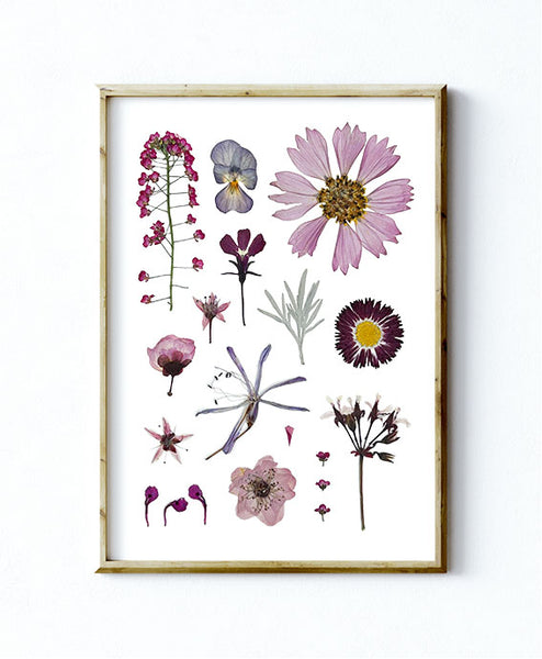 'DAYDREAMER' - Art Print