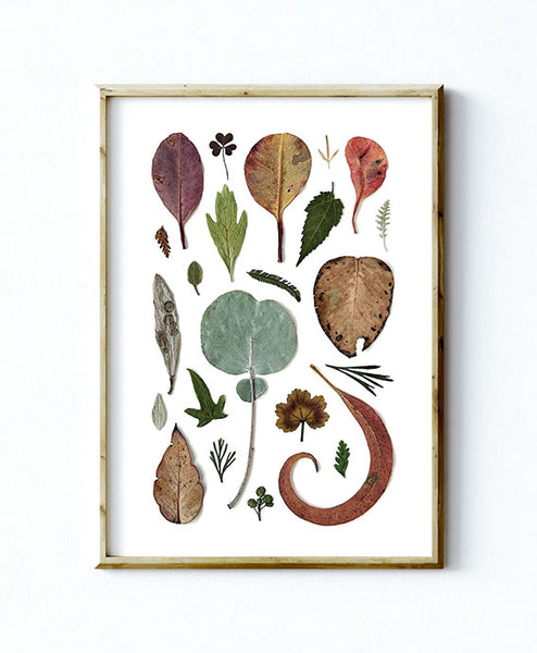 'LOTS OF LEAVES' BOTANICAL COLLATION - Art Print