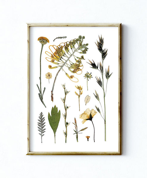 'EDGE OF THE WOODS' BOTANICAL COLLATION - Art Print