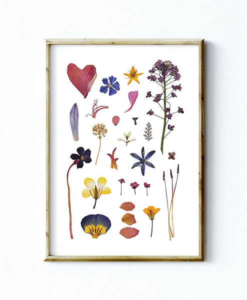 'SPRINGTIME' - Art Print