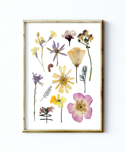'BAREFOOT MEADOW' BOTANICAL COLLATION - Art Print