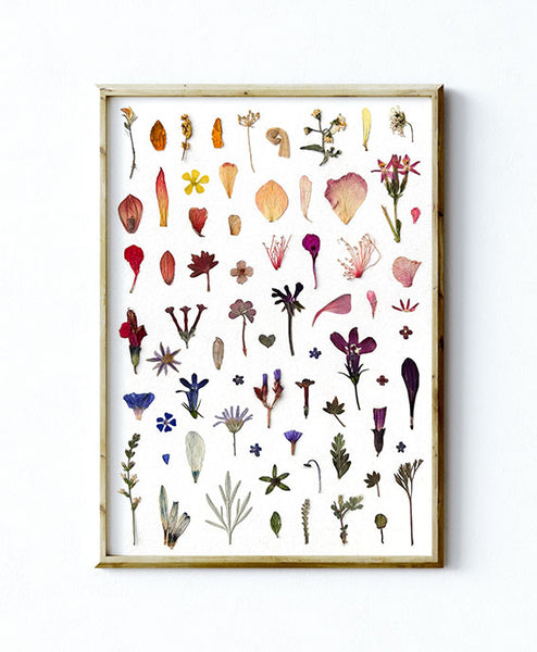 'LITTLE PETALS AND LEAVES' - Art Print