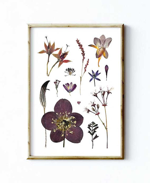 'WINTER TONIC' - Art Print