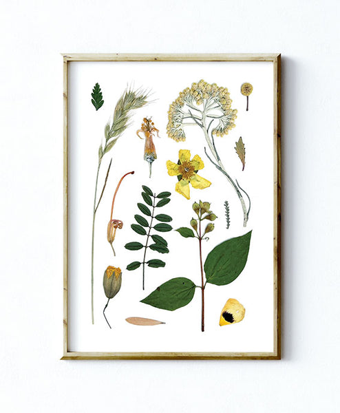 'LAZY DAYS' BOTANICAL COLLATION - Art Print