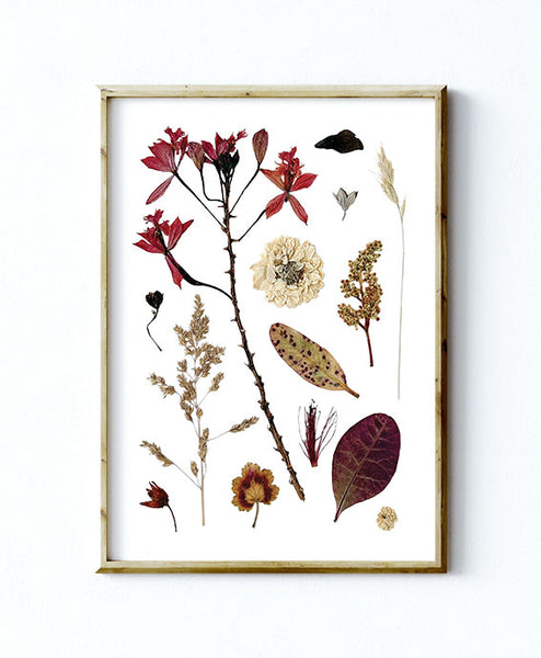 'EVENING BREEZE' BOTANICAL COLLATION - Art Print