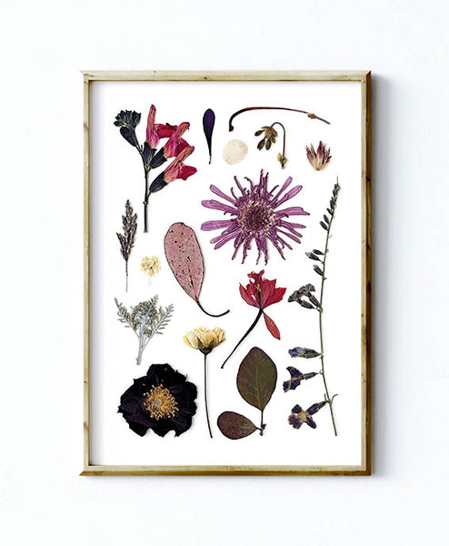 'WINTER MYSTIQUE' BOTANICAL COLLATION - Art Print