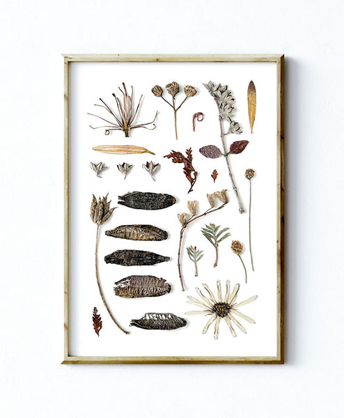 'WINTER CALM' BOTANICAL COLLATION - Art Print