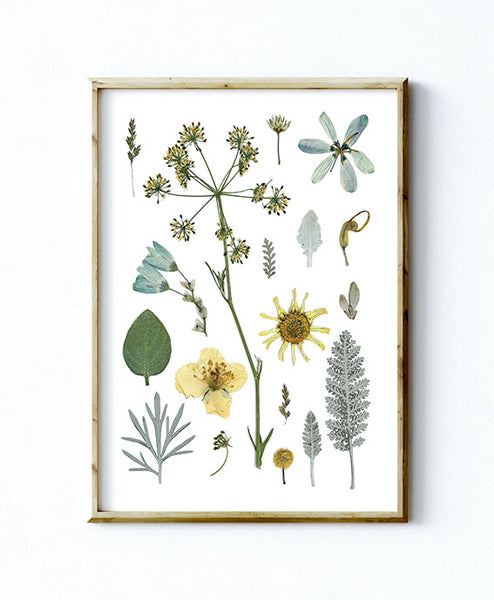 'GARDEN IN STARLIGHT' BOTANICAL COLLATION - Art Print