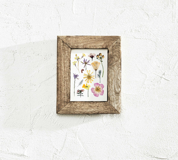 'BAREFOOT MEADOW' BOTANICAL COLLATION - Art Print