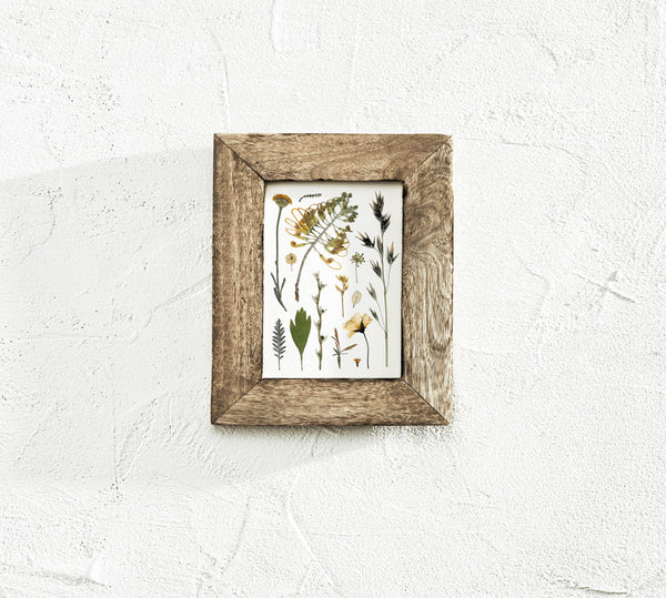 'EDGE OF THE WOODS' BOTANICAL COLLATION - Art Print
