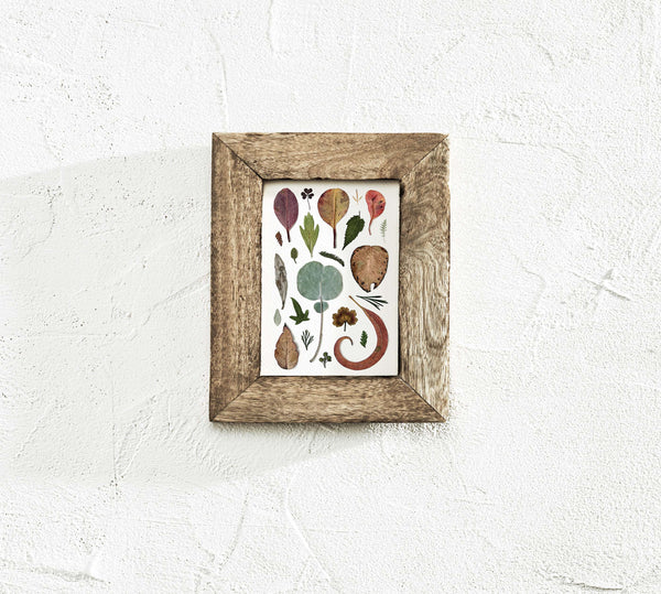 'LOTS OF LEAVES' BOTANICAL COLLATION - Art Print