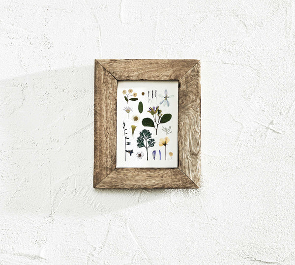 'WOODLAND PATH' BOTANICAL COLLATION - Art Print