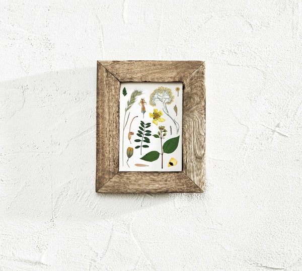 'LAZY DAYS' BOTANICAL COLLATION - Art Print