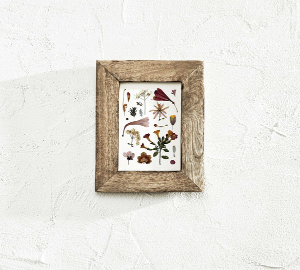 'AUTUMN DAWN' BOTANICAL COLLATION - Art Print