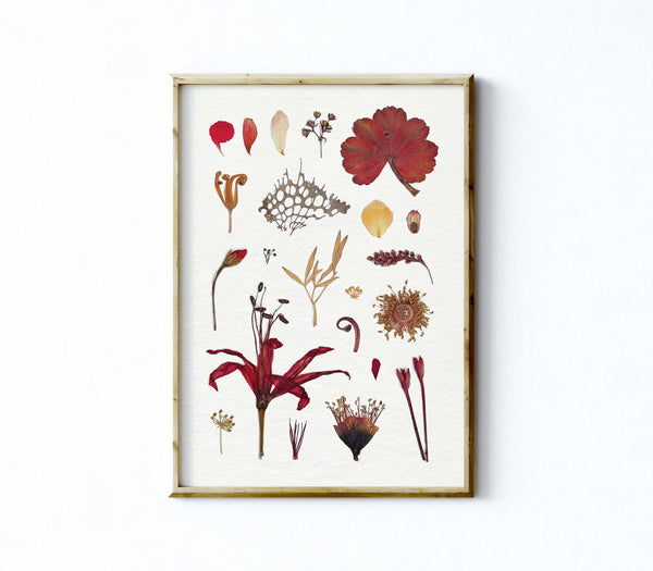 'SUMMER EVENING' BOTANICAL COLLATION - Art Print
