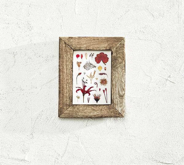 'SUMMER EVENING' BOTANICAL COLLATION - Art Print