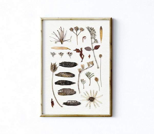 'WINTER CALM' BOTANICAL COLLATION - Art Print