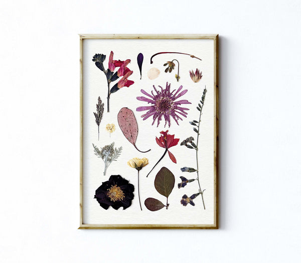 'WINTER MYSTIQUE' BOTANICAL COLLATION - Art Print