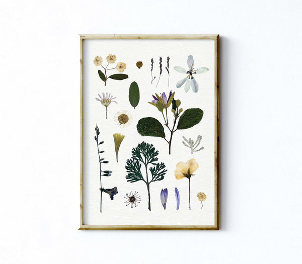 'WOODLAND PATH' BOTANICAL COLLATION - Art Print