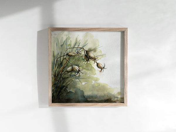 AUTUMN SEEDPODS - Art Print