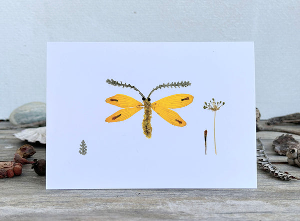 'OSCAR' - Greetings Card