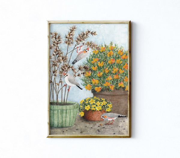 ZEBRA FINCHES GARDEN VISIT - Art Print